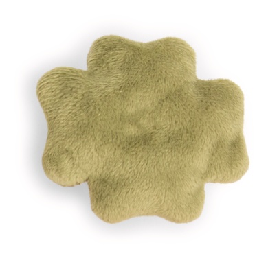 Mini Magnicis cochon avec feuille de trèfle