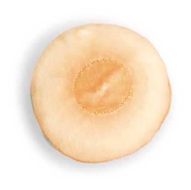 Mini Magnicis chat avec donut 