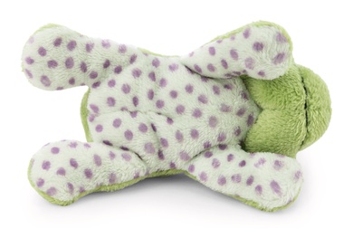 Magnicis grenouille Fridolin Frog 