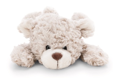 Bär Finni 20cm liegend 