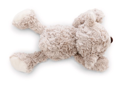 Bär Finni 20cm liegend 