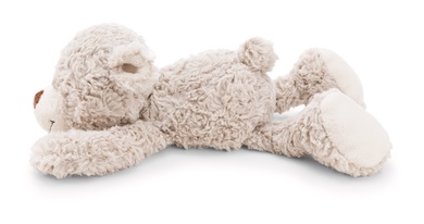 Bär Finni 50cm liegend 