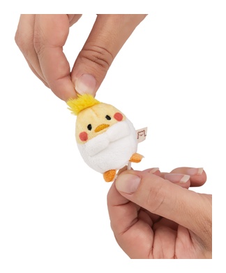 Nymphensittich Chipsy 5cm 