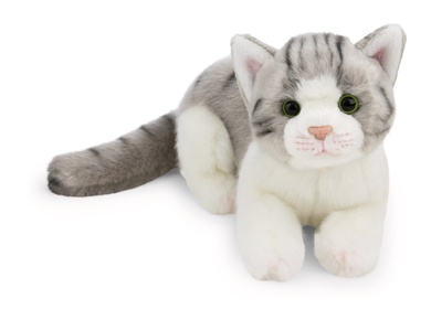 Chatte 20cm 