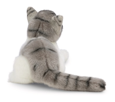 Chatte 20cm 