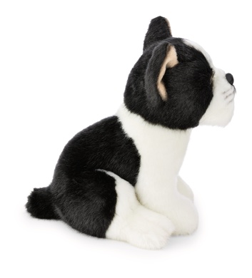 Boston terrier 20cm 