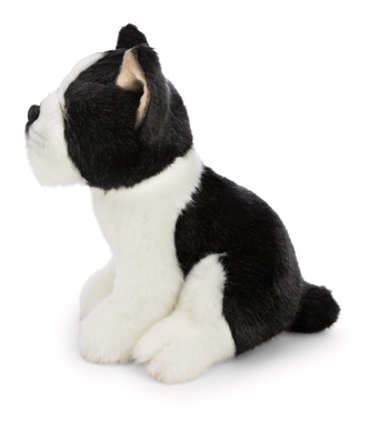 Boston terrier 20cm 