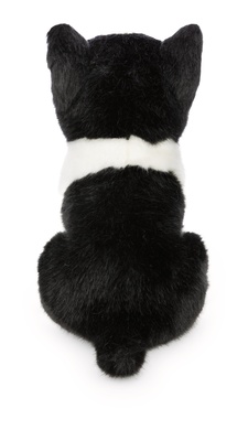 Boston terrier 20cm 