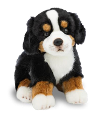 Berner Sennenhund 20cm 
