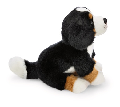 Bouvier bernois 20cm 