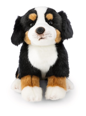 Bouvier bernois 20cm 