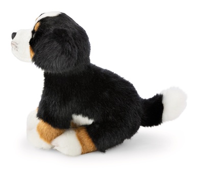 Bouvier bernois 20cm 