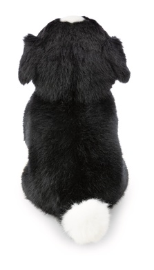 Bouvier bernois 20cm 