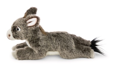Âne 20cm 