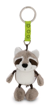 Talisminis raton laveur 