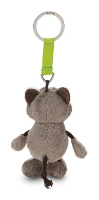 Talisminis raton laveur 