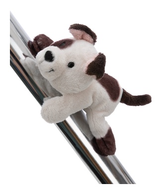 Magnicis chien blanc 