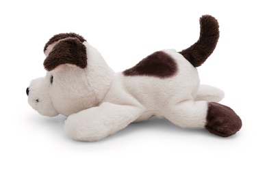 Magnicis chien blanc 