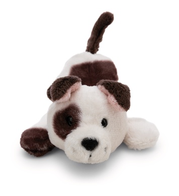 Magnicis chien blanc 