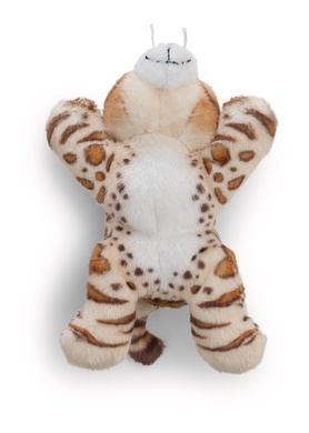 Magnicis Katze Bengal 