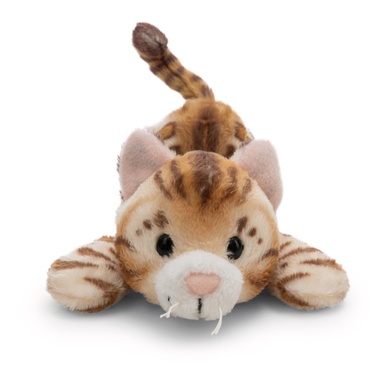 Magnicis Katze Bengal 