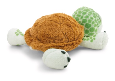 Schildkröte 18cm liegend 