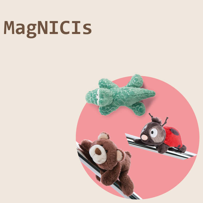 MagNICIs